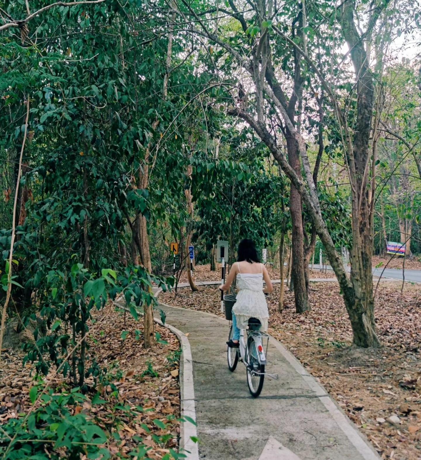 Foresta Villa Hang Dong Exterior foto