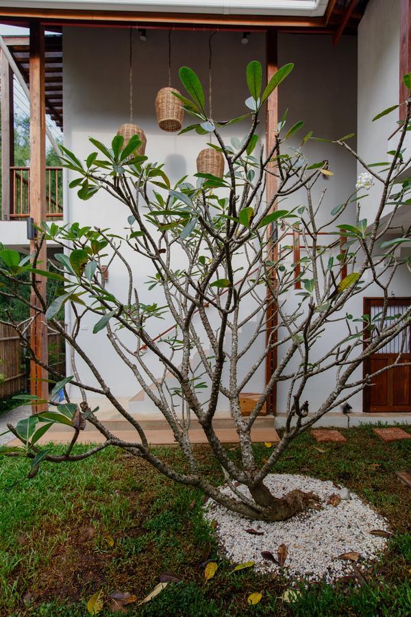 Foresta Villa Hang Dong Exterior foto